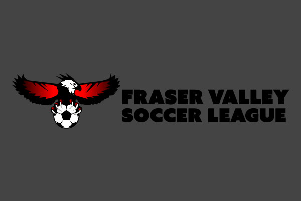 fvsl logo color