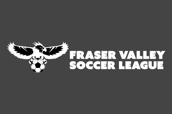 fvsl logo white