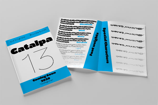 booklet mockup